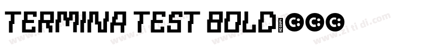 Termina Test Bold字体转换